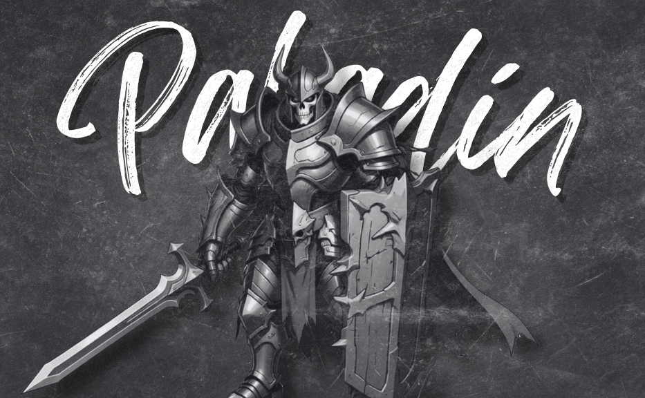 Media Paladín